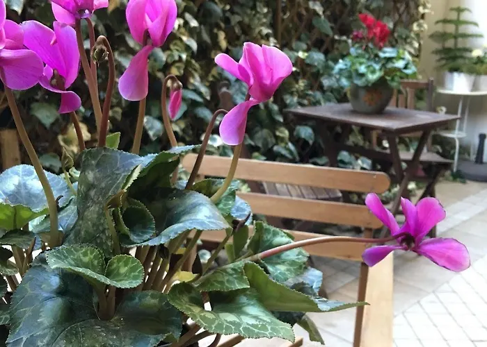 Bed & Breakfast St. John Řím